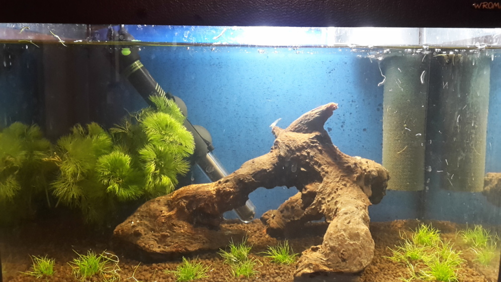 Aquarium Hauptansicht von Becken 34225