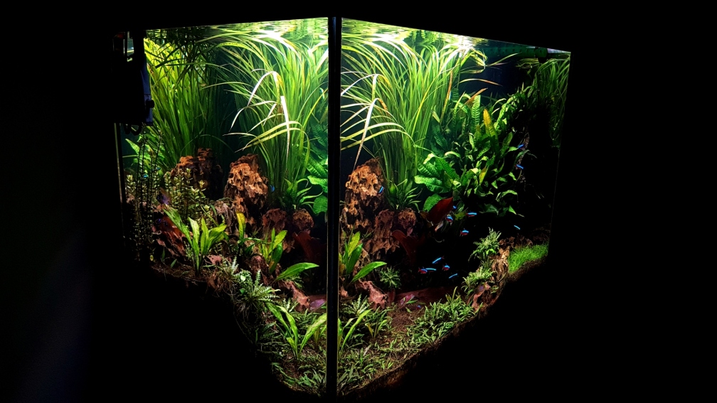 Aquarium Hauptansicht von Juwel Lido 200 12/17