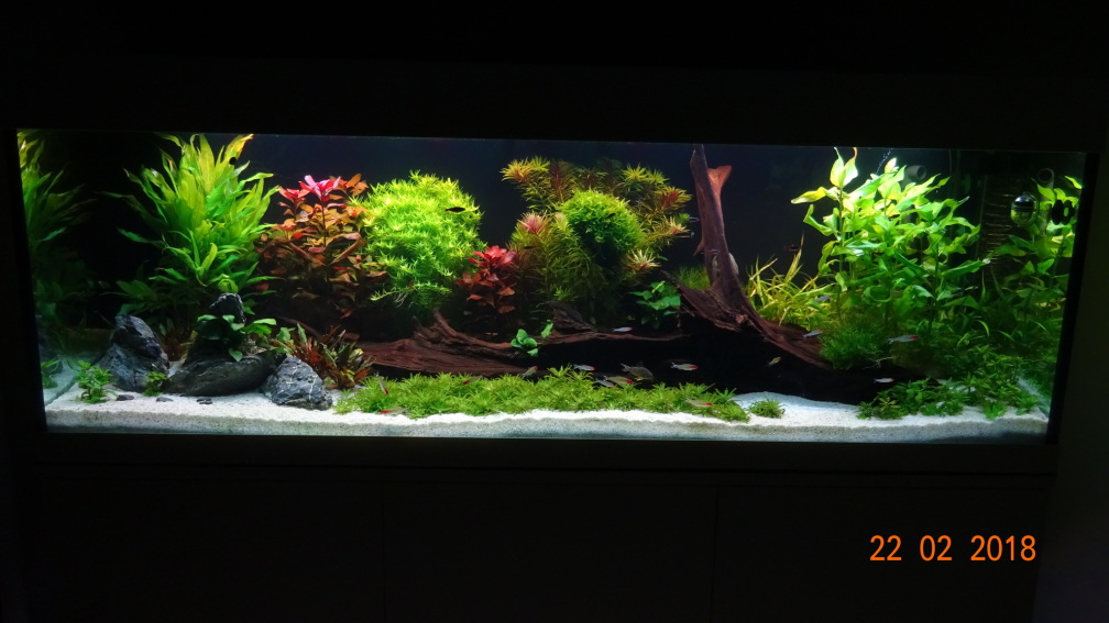 Aquarium Hauptansicht von Mystic River