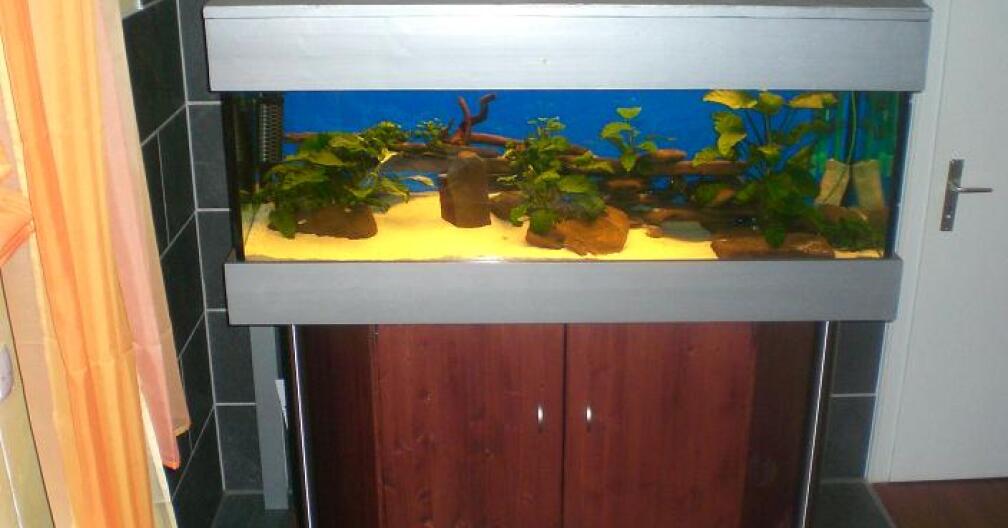 Aquarium mit Schrank und Abdeckung