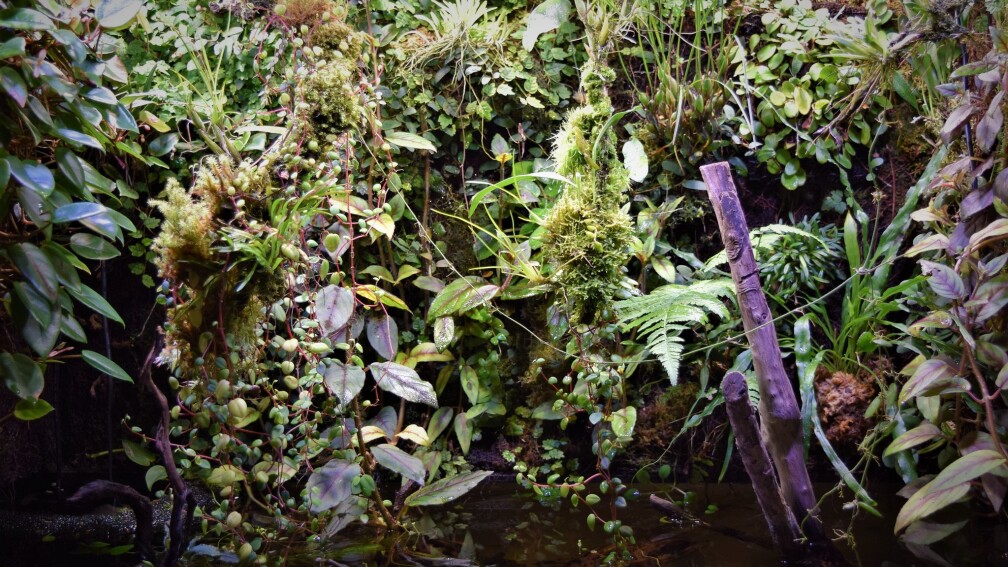 Aquarium Hauptansicht von Flussufer des Riacho dos Macacos