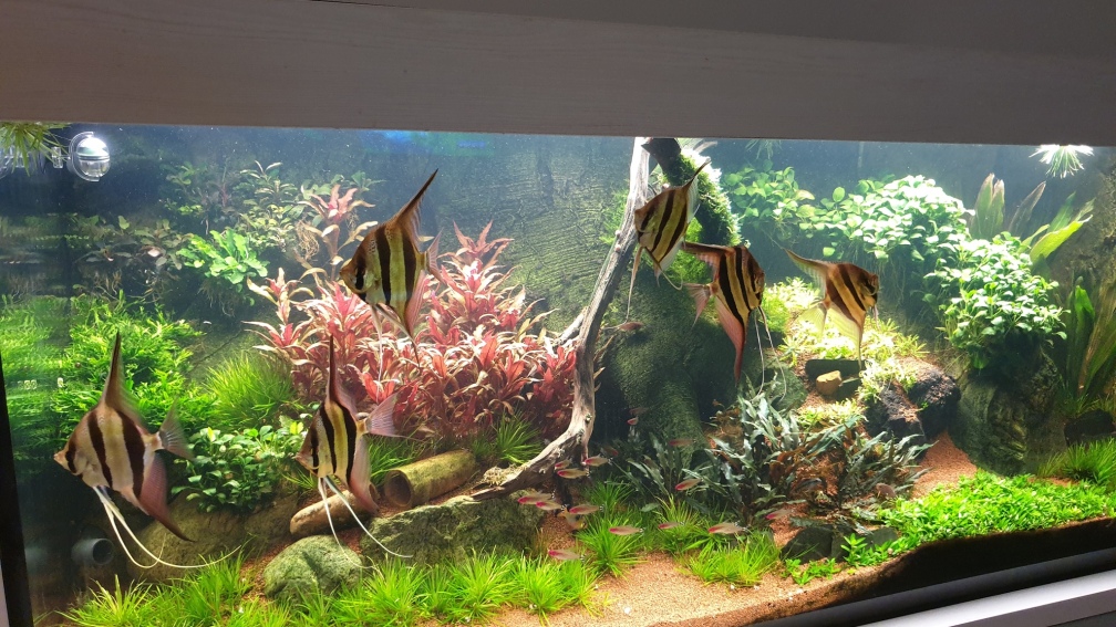 Gesamtansicht 01.02.2022