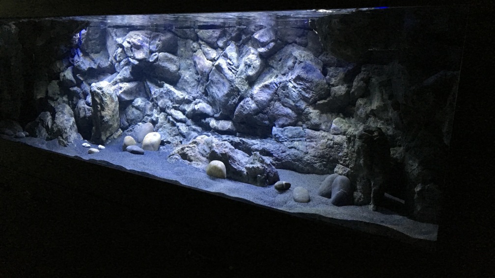 Aquarium Hauptansicht von Malawi Retro Becken