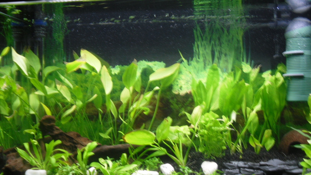 Aquarium Hauptansicht von Family Relaxpoint