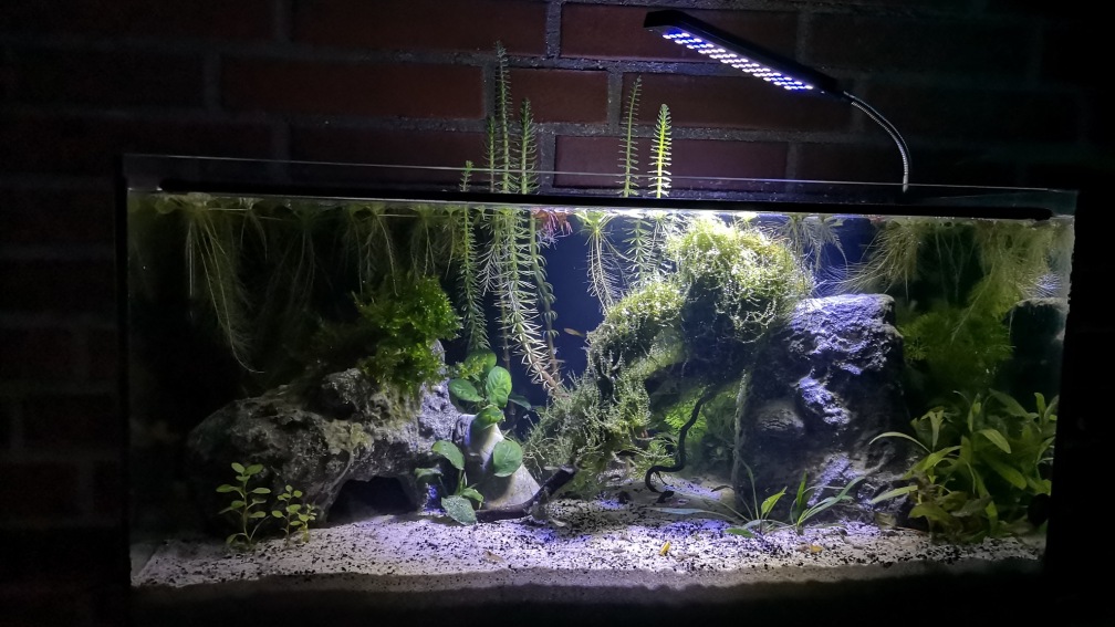 Aquarium Hauptansicht von Outdoorbecken