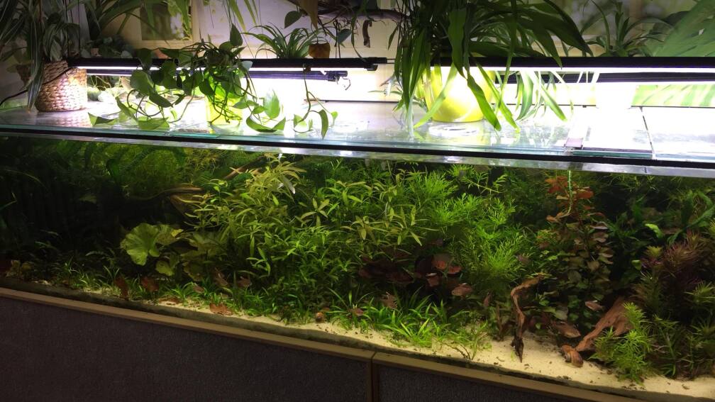 Februar 2018, die Länge ist schwer draufzubekommen