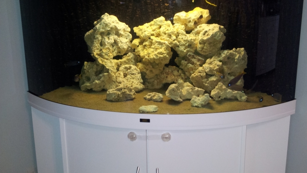 Aquarium Hauptansicht von Juwel Trigon 350 Eck Aq