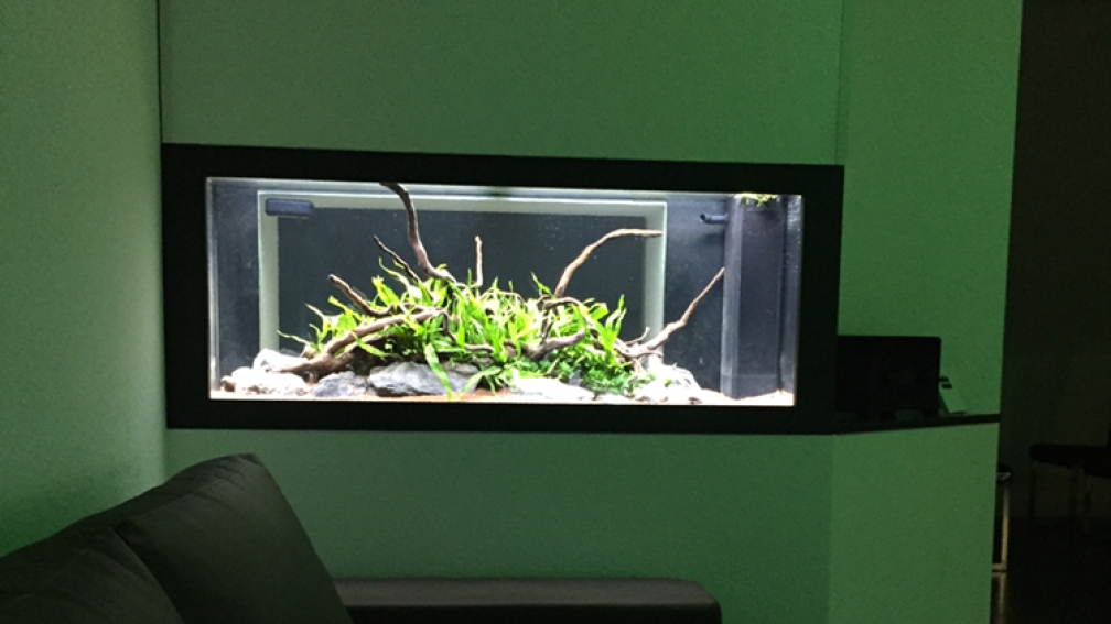 Aquarium Hauptansicht von Aquarium Projekt