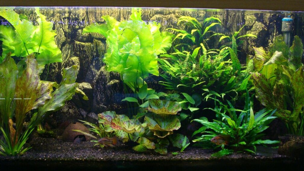 200er Stand: 11.10.2010