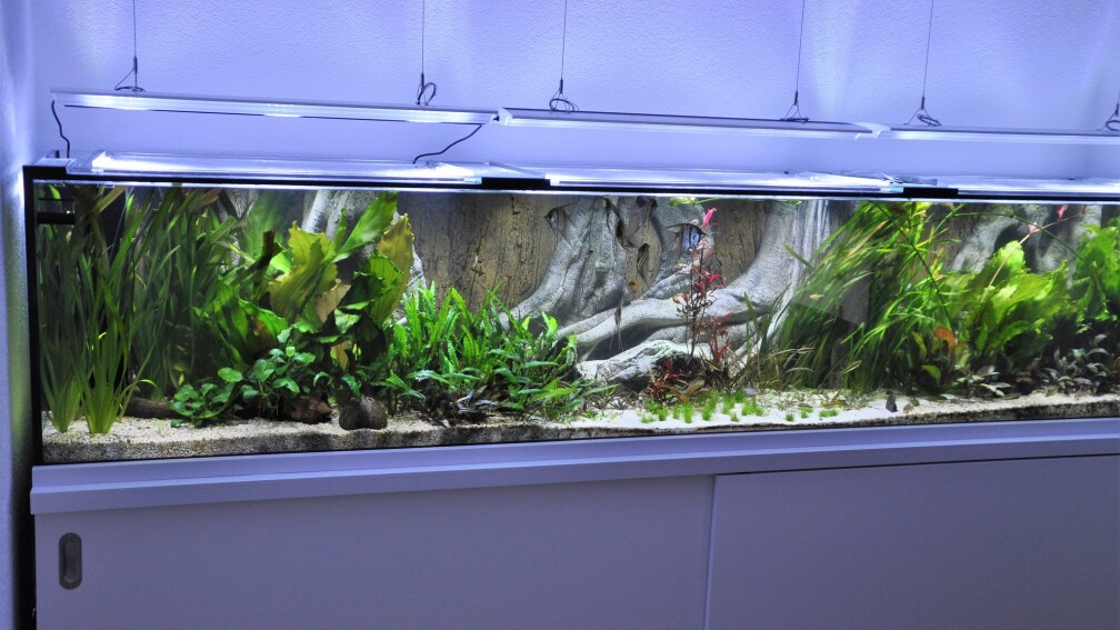 Aquarium Hauptansicht von Büro 290