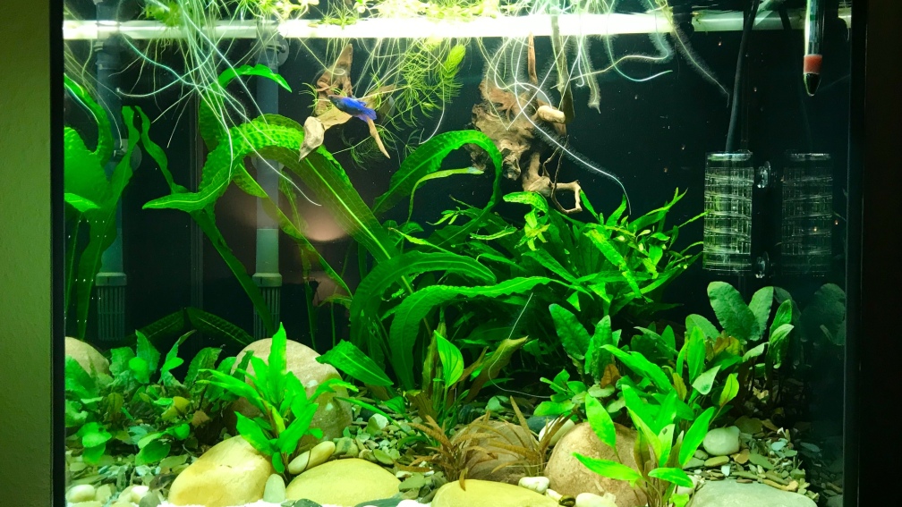 Hauptansicht Paradis City 