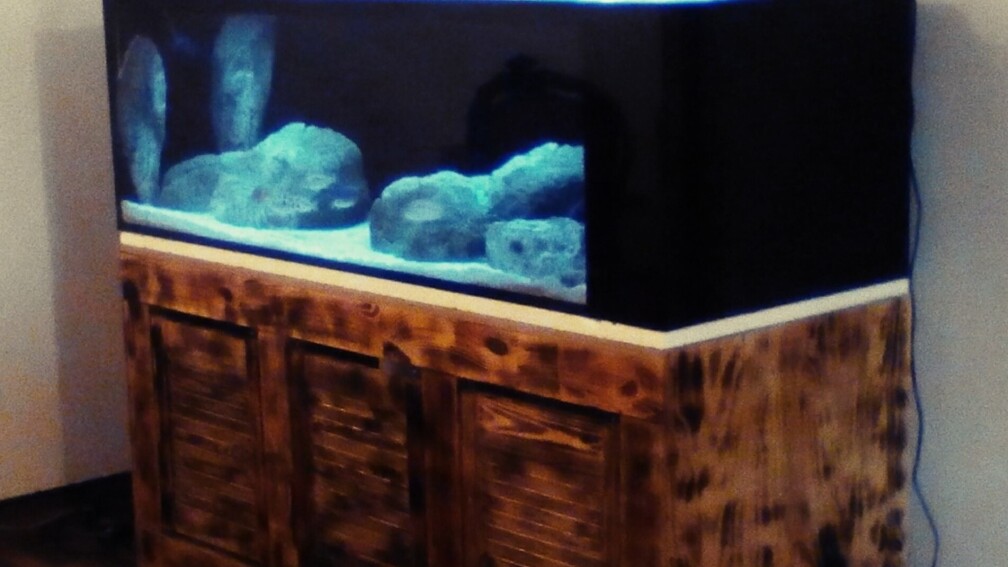 Aquarium Hauptansicht von Brauche Hilfe bei Besatzung