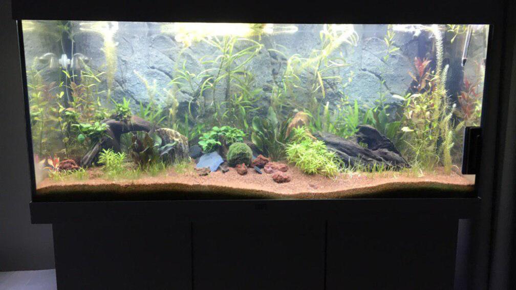 Alles wird irgendwann gut ;)