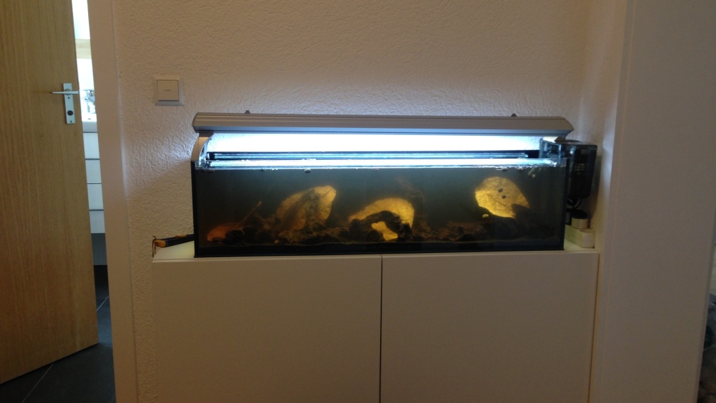 Ganz neu eingerichtet!