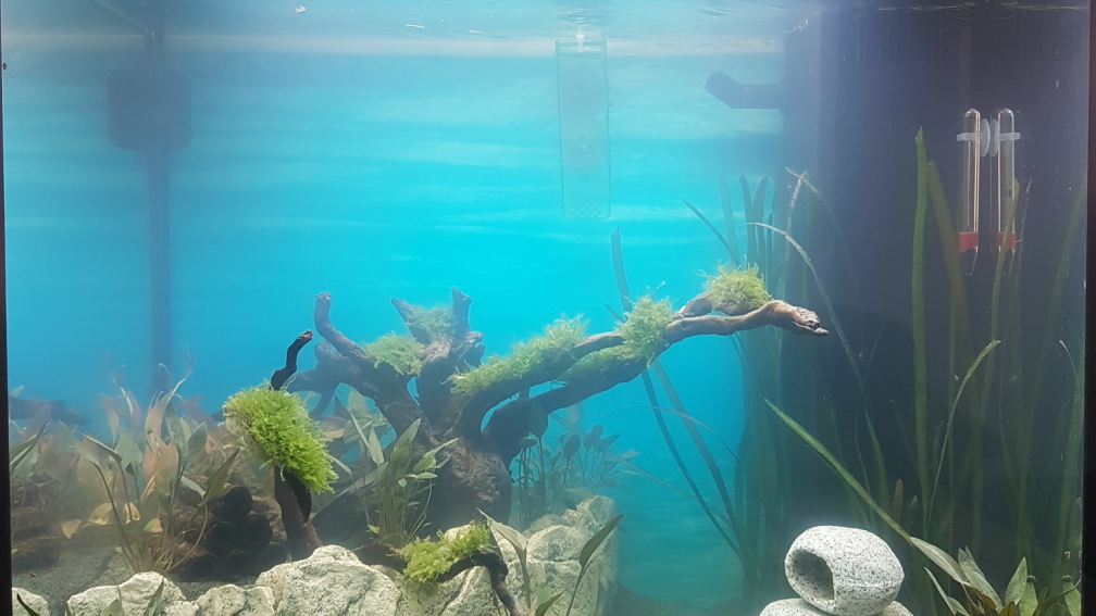 Aquarium Hauptansicht von Paradies Juwel Lido 120