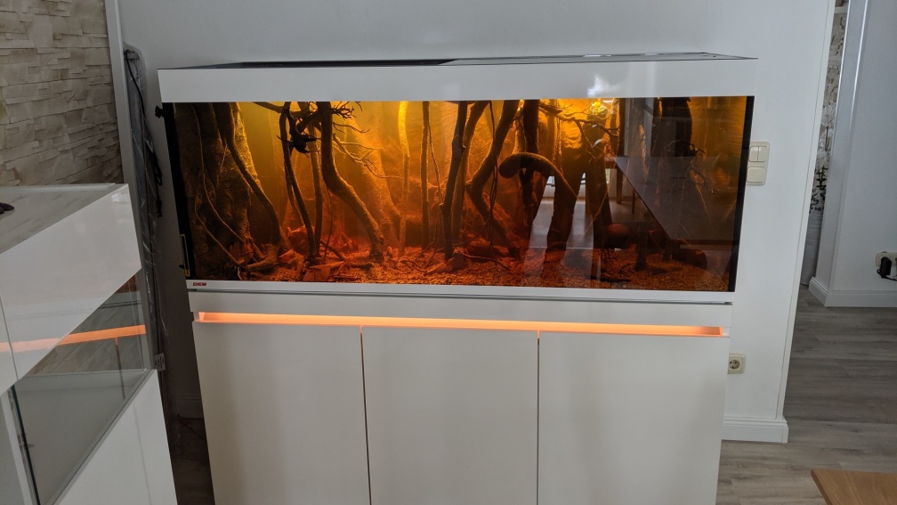 Aquarium Hauptansicht von Salmerbecken