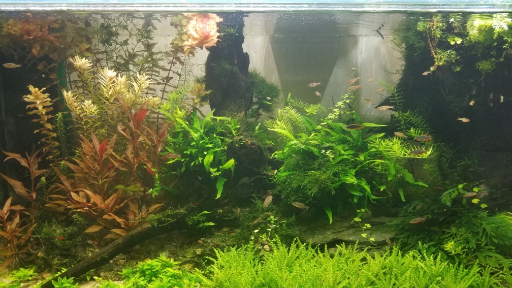 Aquarium Hauptansicht von Asien 2019