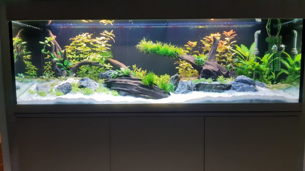 Aquarium Hauptansicht von Mystic River II