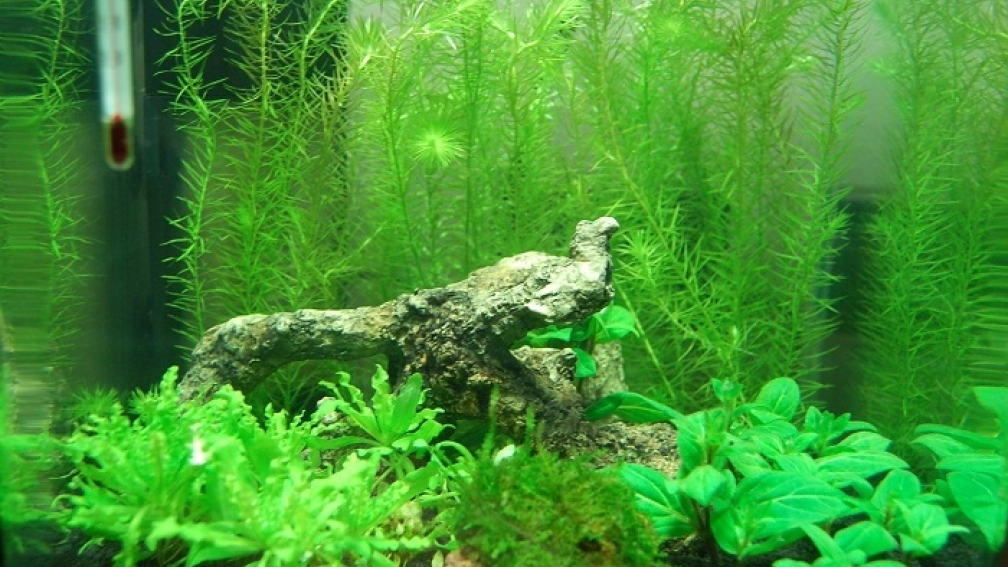 Tag 5 nach Einrichtung