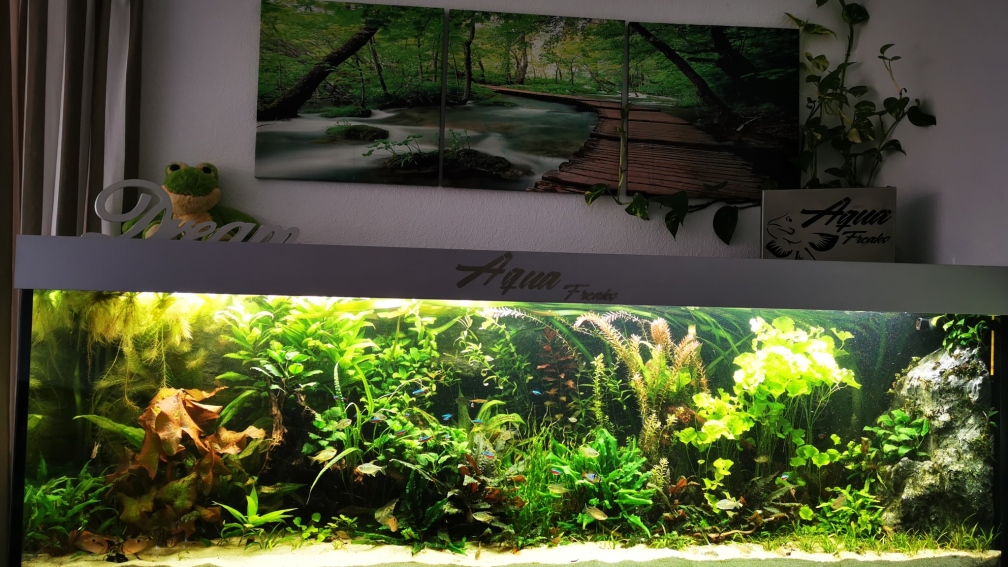 Aquarium Hauptansicht von Becken 42320