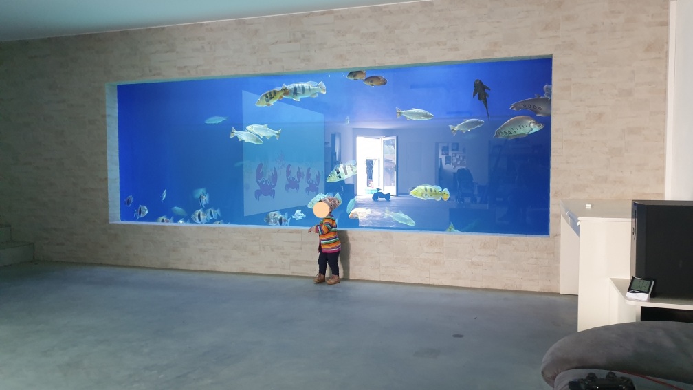 Aquarium Hauptansicht von Großaquarium in Bayern