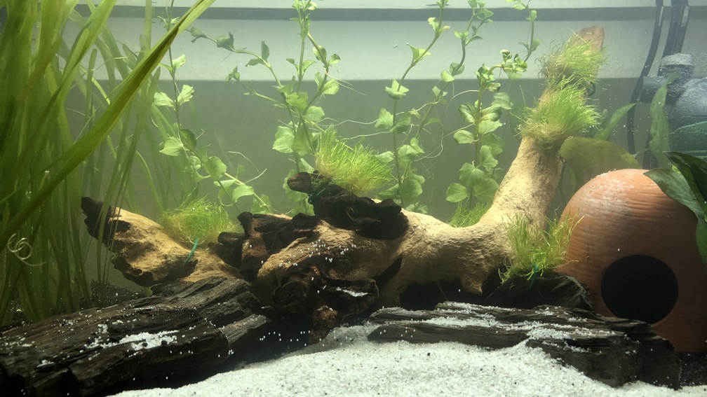 03.06.20 - direkt nach der Ersteinrichtung 0