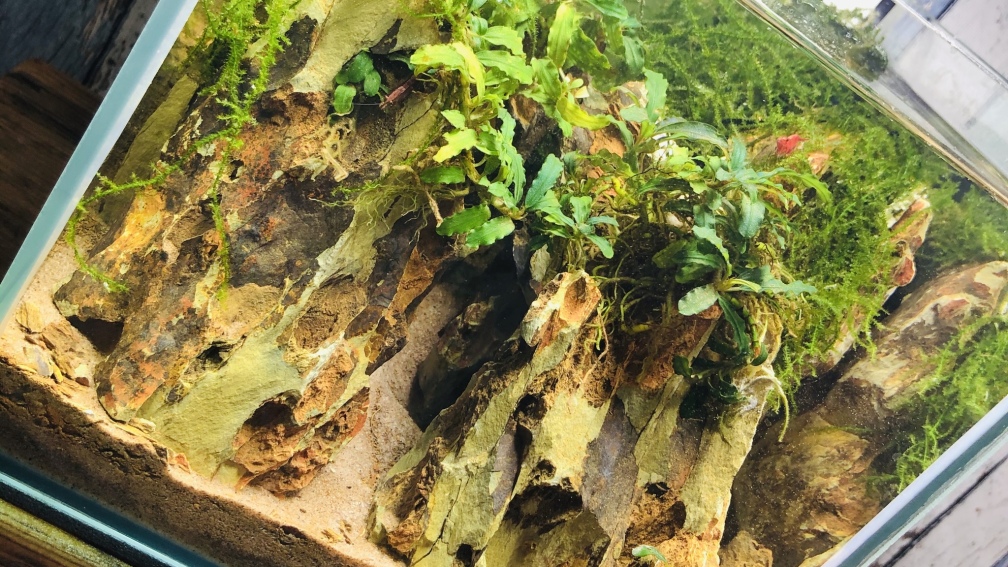 Mini Scape `Lonley Montain - Erebor`