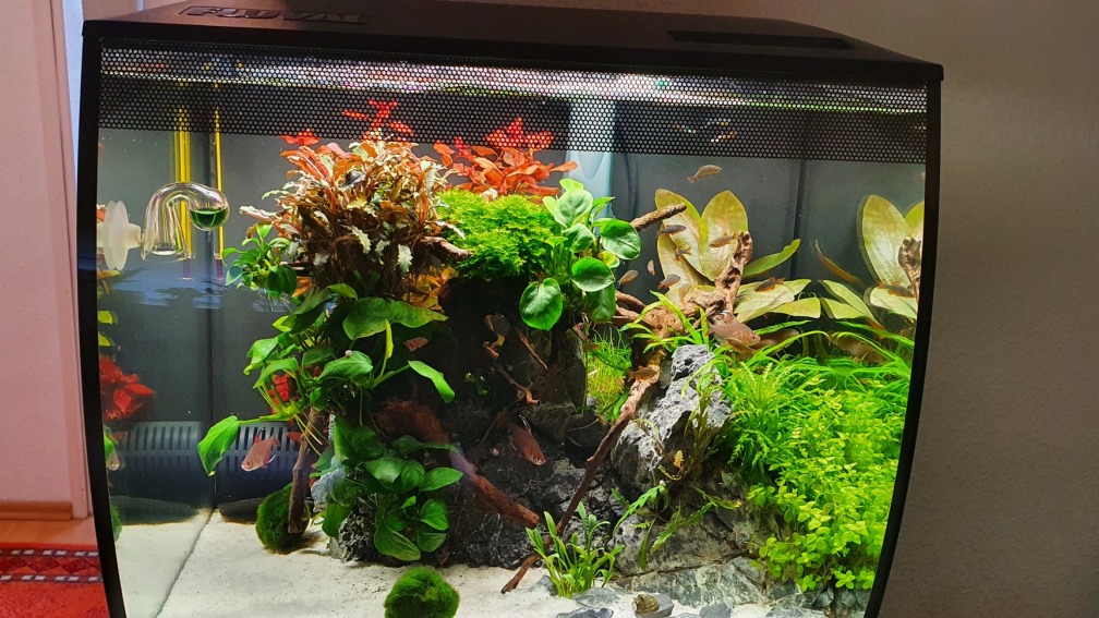  Fluval Aquascaping