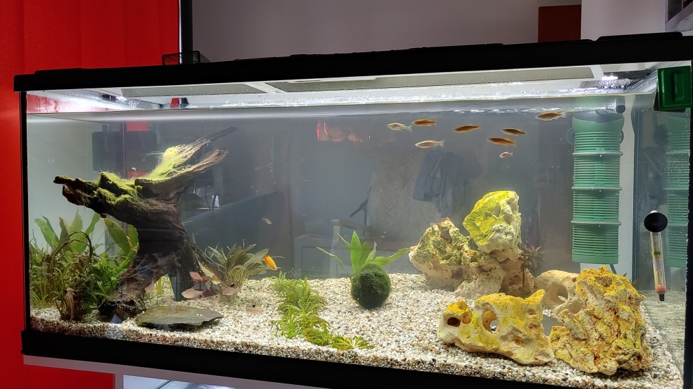 EHEIM Aquapro LED 180