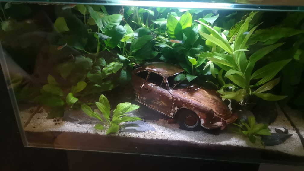 Aquarium Hauptansicht von Lost Car -  Fluval Edge I