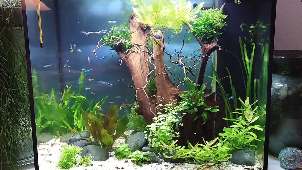 Update 26.10.2020 nach der Einfahrphase