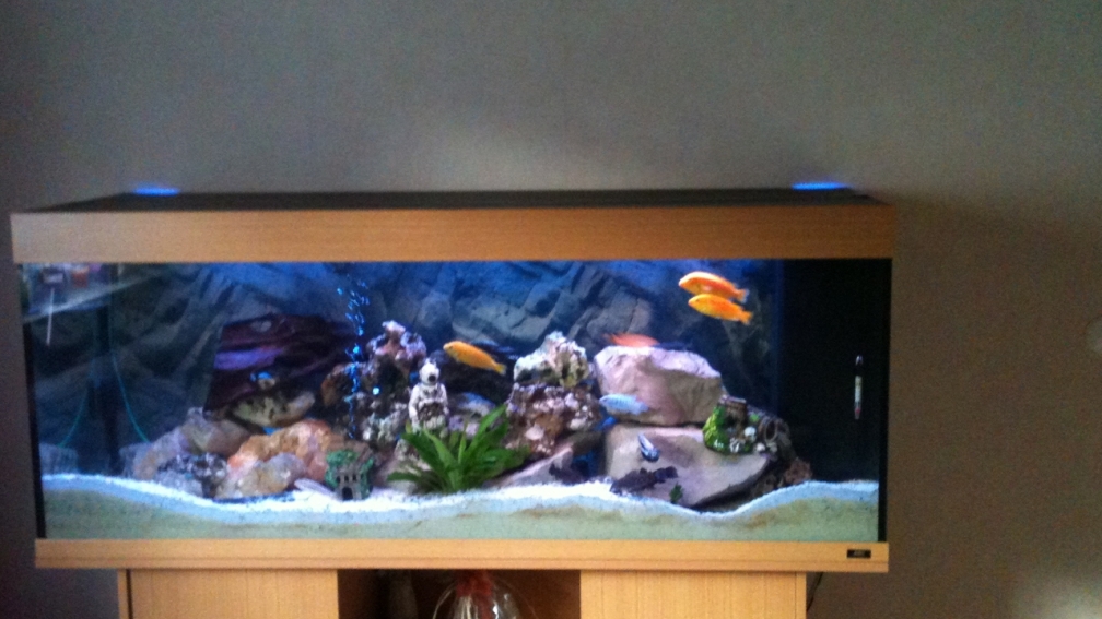 Aquarium Hauptansicht von Juwel 450L