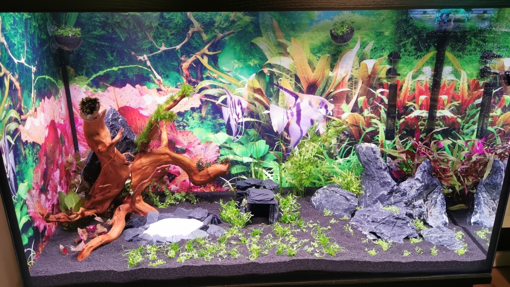 Tag der Einrichtung (13.03.2021)