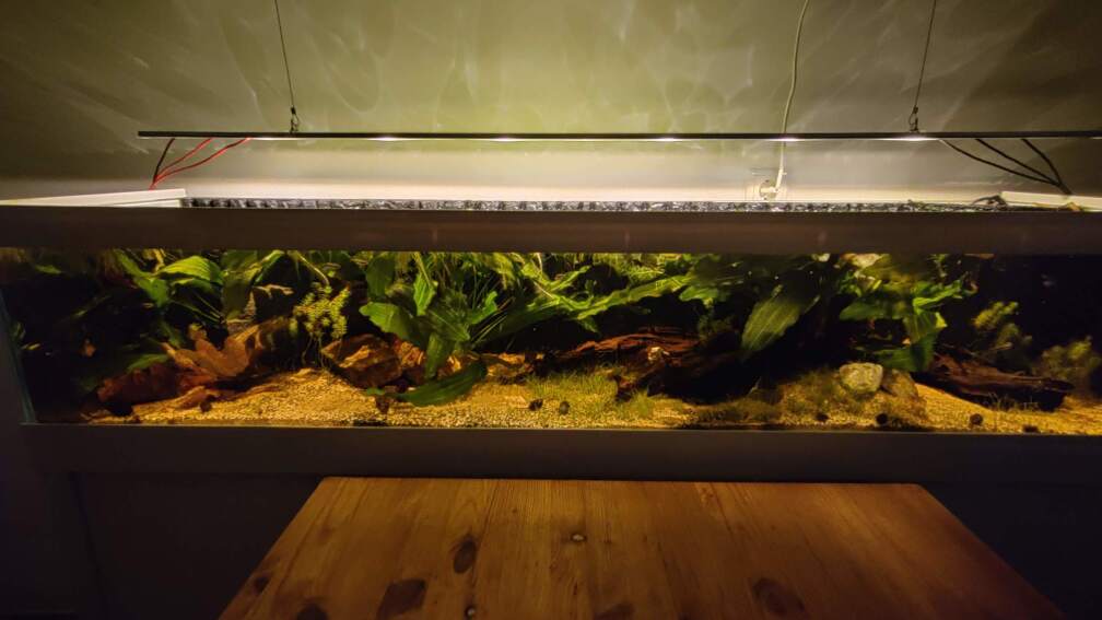 Sonnenuntergang in Südamerika