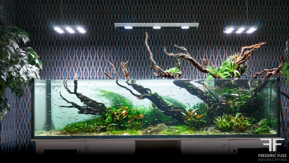 Aquarium Hauptansicht von Bent by the wind