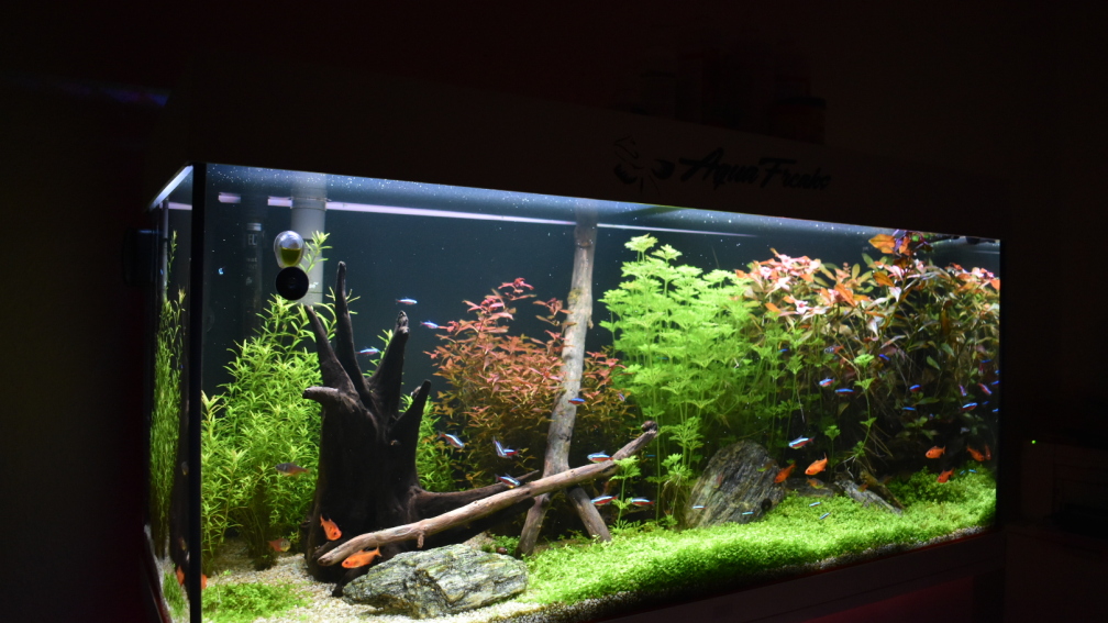 Juwel Aquarium RIO 180