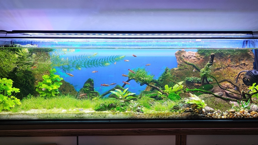 Gesamtansicht 12.06.2022