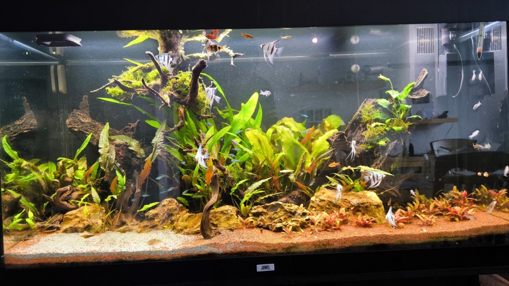 Aquarium Hauptansicht von Juwel rio 300