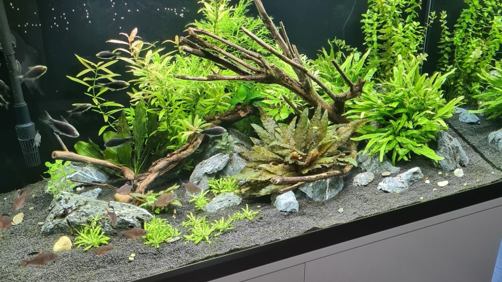 Aquarium Hauptansicht von Green Island