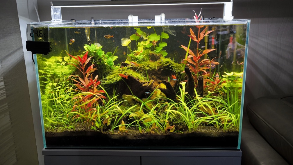 Aquarium Hauptansicht von Superfish