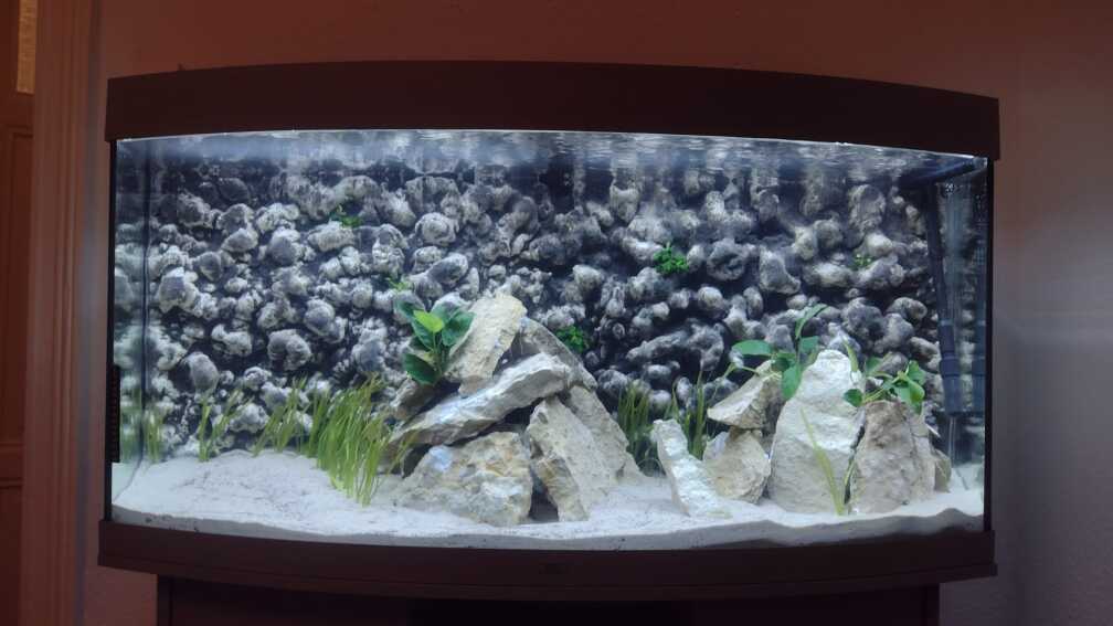 Frontale Sicht auf das Aquarium