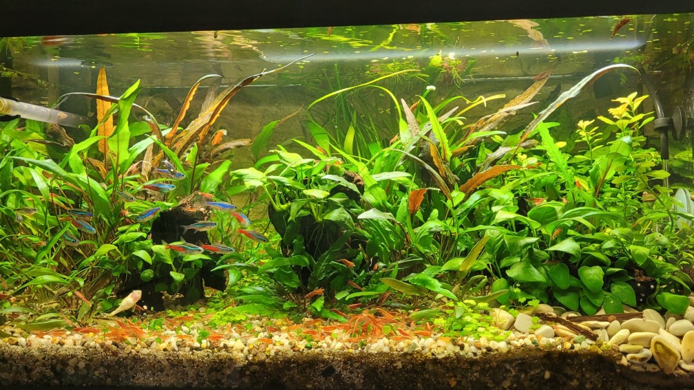 Hauptansicht 14.02.2023