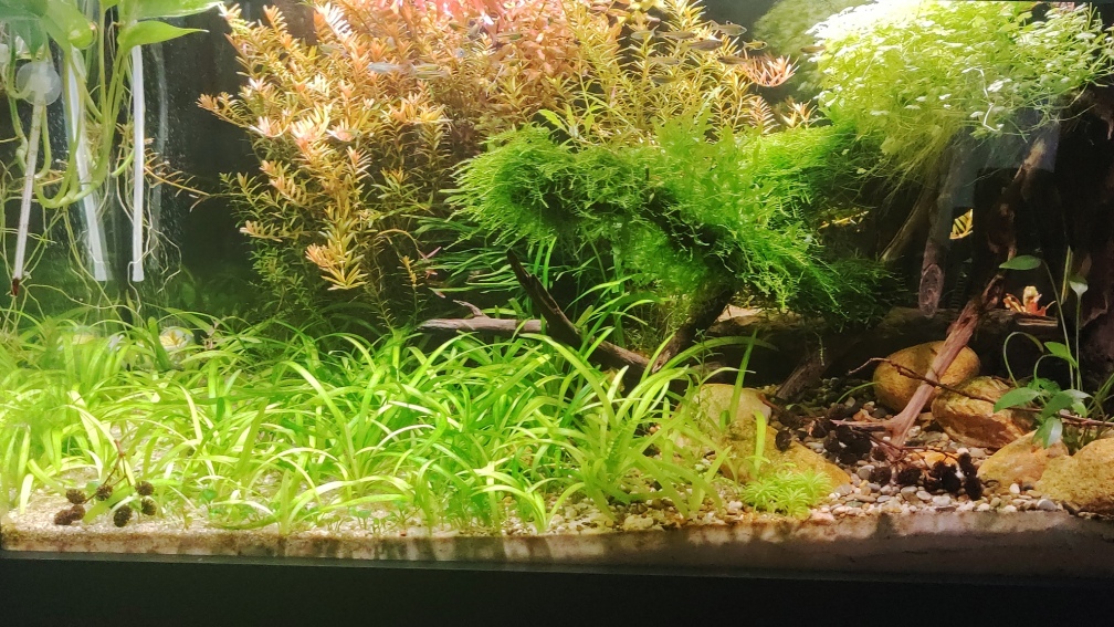 Aquarium Hauptansicht von Nur noch ein Beispiel für euch