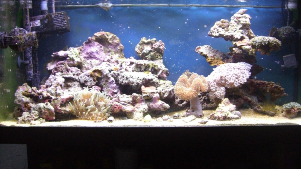 Hauptbild 03.09.2009