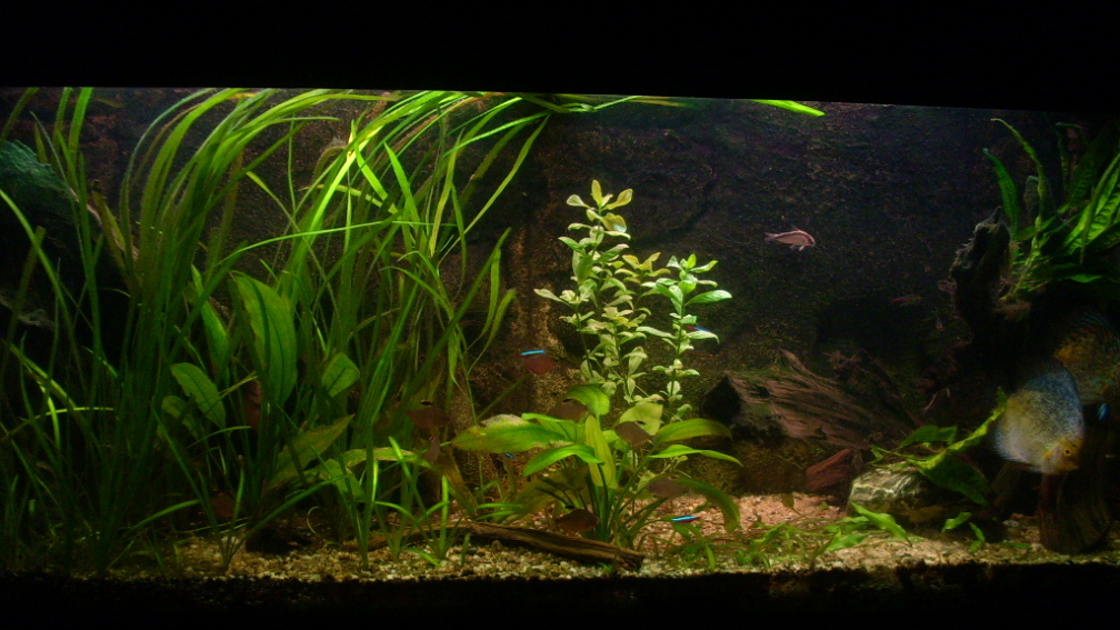 Meine Oase der Ruhe :)