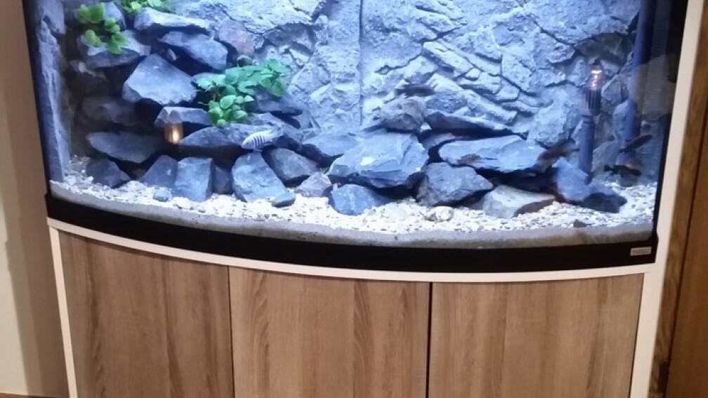 Das Bild ist noch mit dem alten Malawi Besatz... Neue Bilder folgen in den nächsten Tagen!