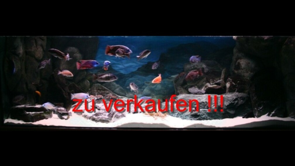 Aquarium zu verkaufen !!!
