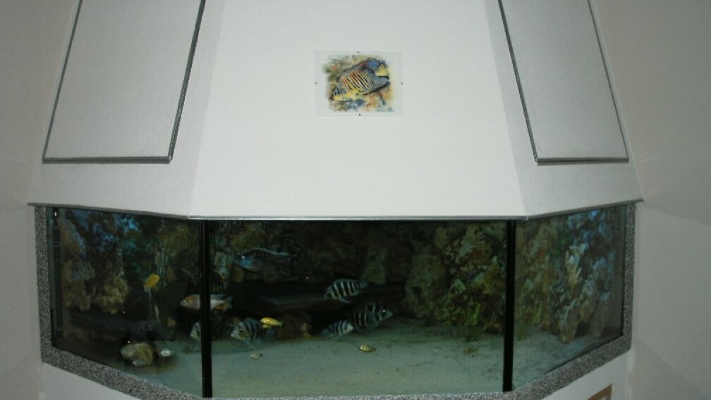 Aquarium Hauptansicht von Becken 705