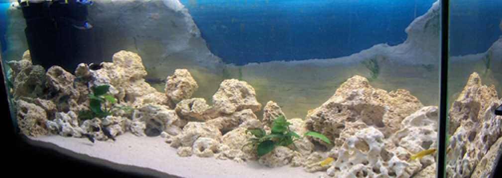 Aquarium Ansicht 1
