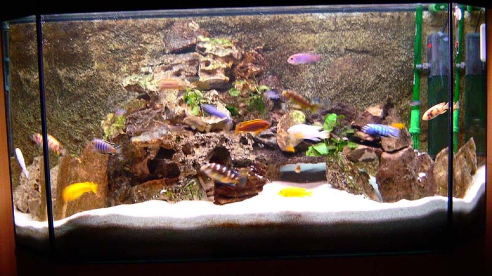 Panorama-Becken 350 L